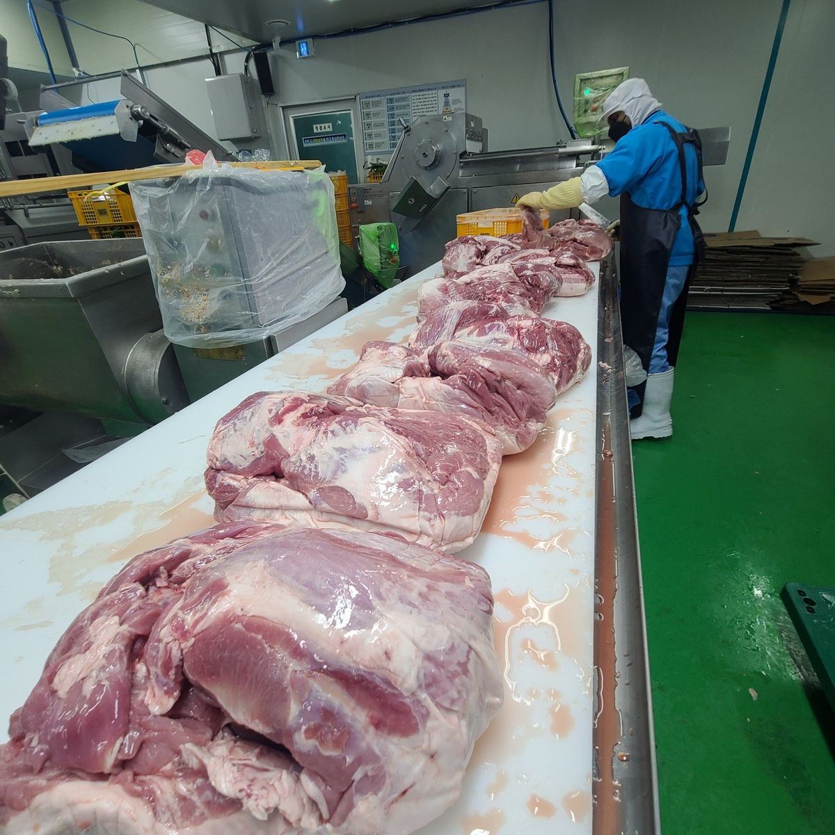 1공장 원료육 가공 라인
